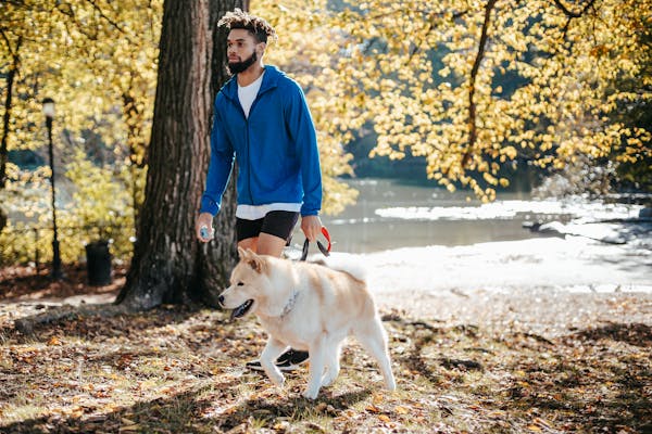 man walking dog