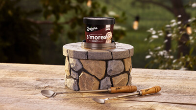 smores breyers ice cream in the woods